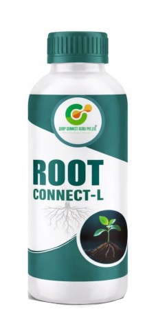 Root Connect-L